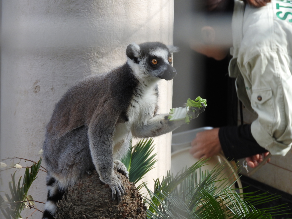 え？くれるの？