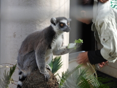 え？くれるの？