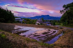 田んぼに秋空