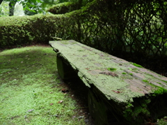 緑のベンチ
