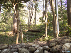 小國神社のさらに奥