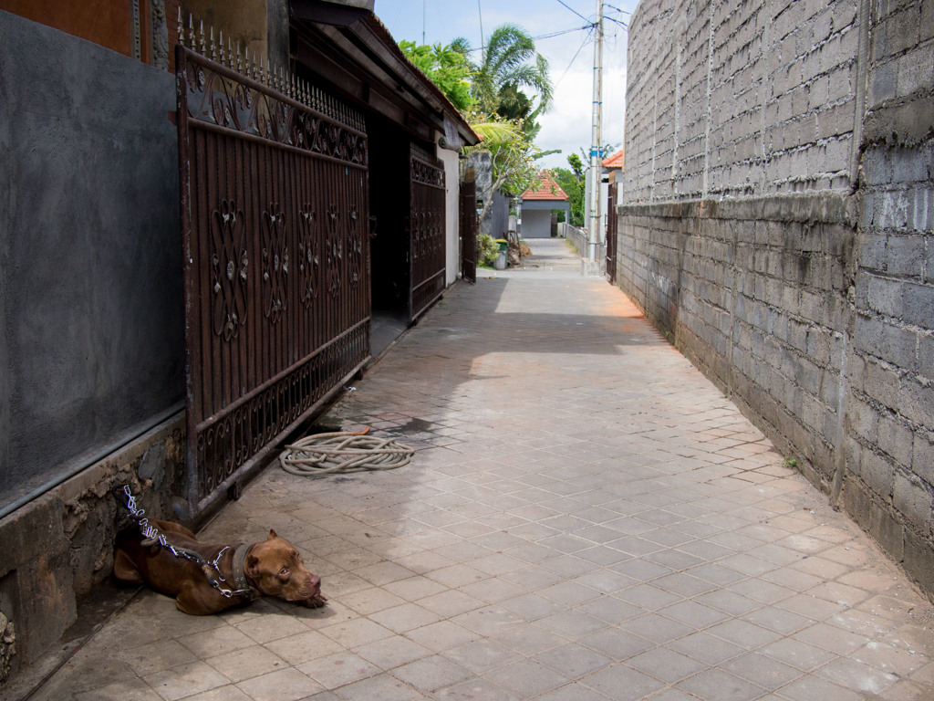 バリ島路地裏