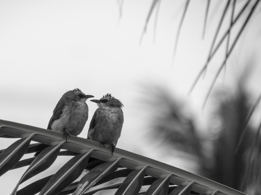 ホテルのバルコニーにて