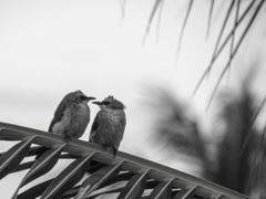 ホテルのバルコニーにて