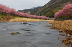 河津川早春 Ⅰ