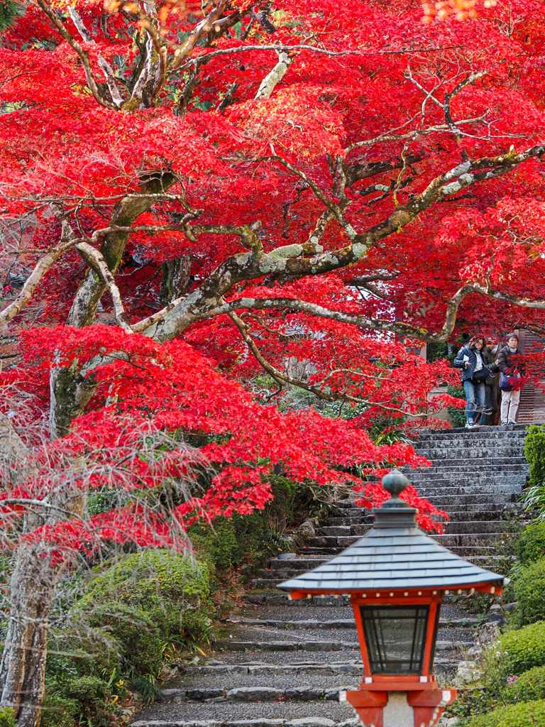 善峯寺