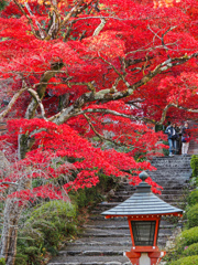 善峯寺