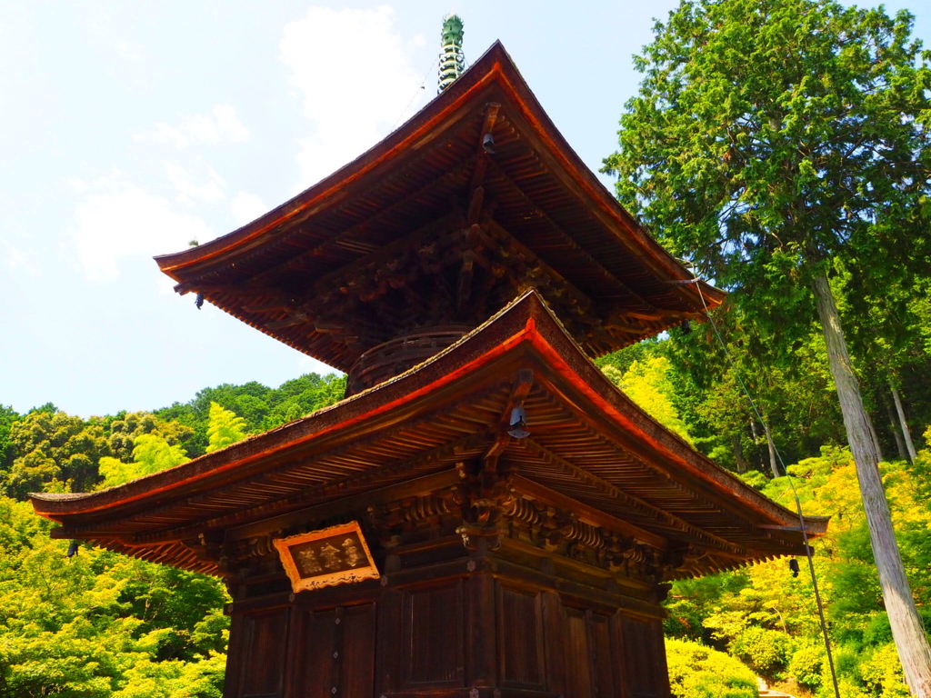常寂光寺