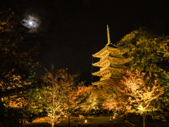 東寺