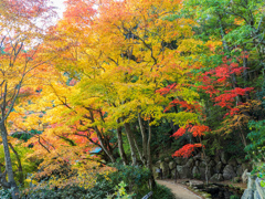 善峯寺