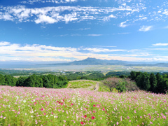 白木峰高原