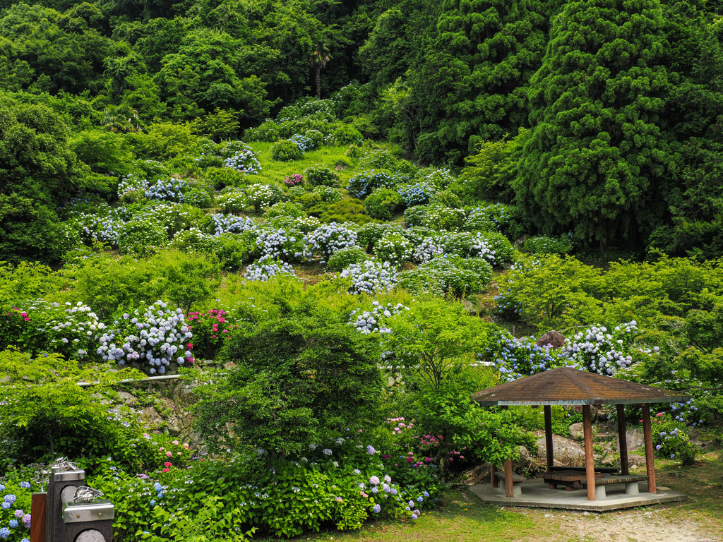 ほたる橋