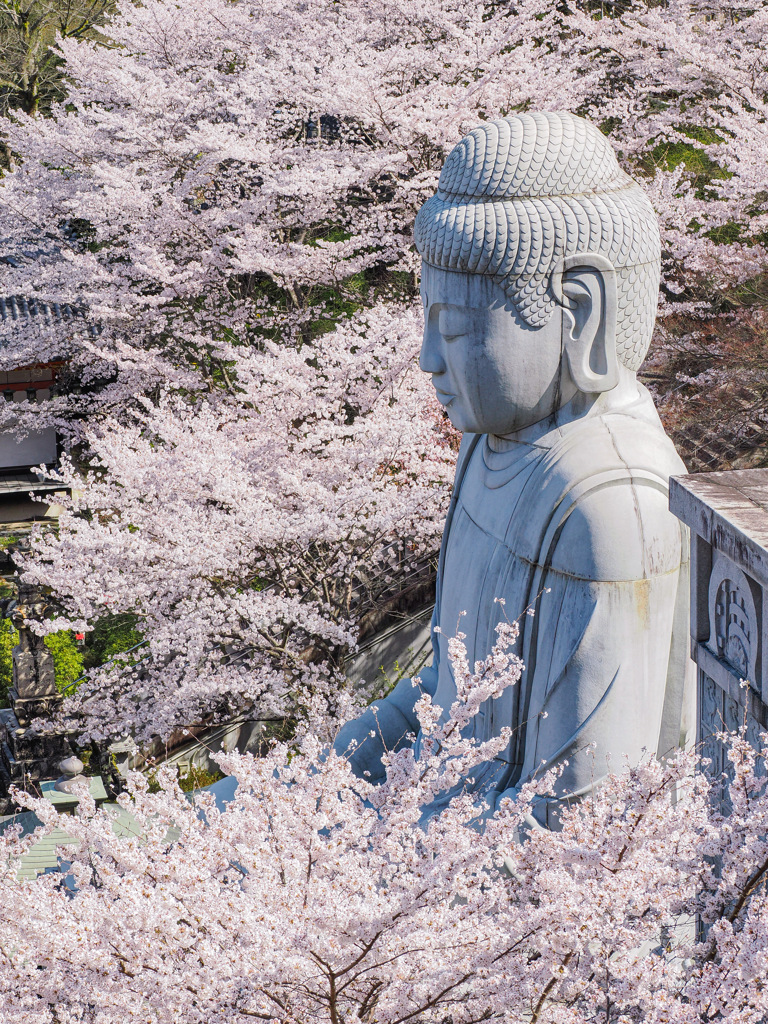 壺阪寺