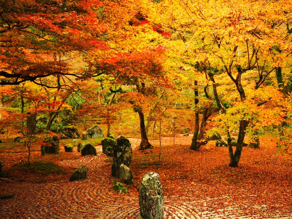 光明禅寺