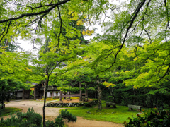 西明寺