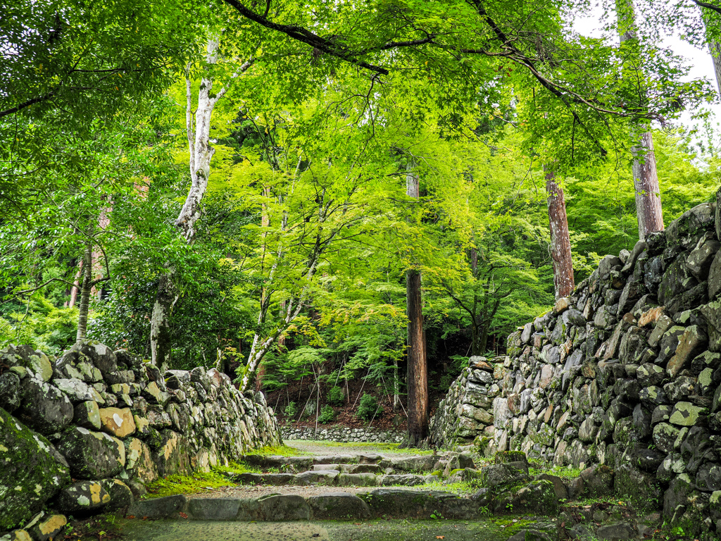 高山寺