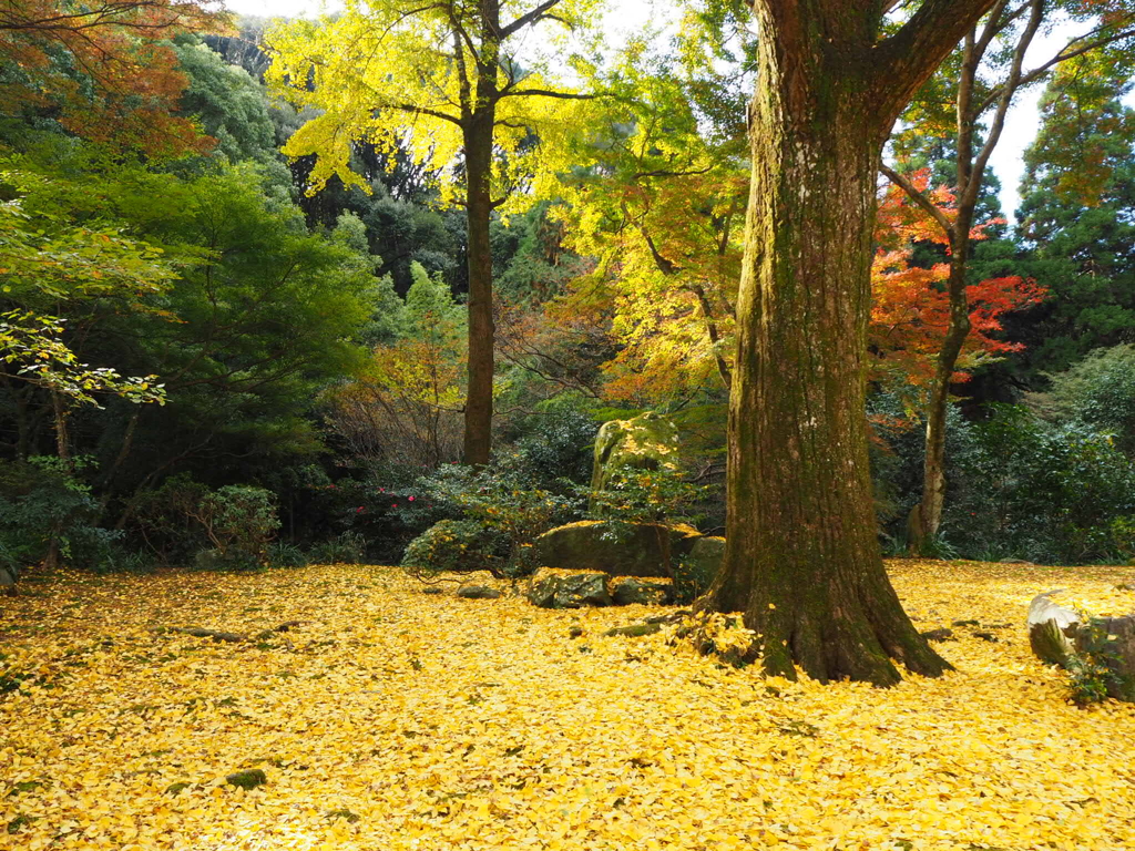 本吉山清水寺