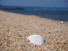 唐津海岸