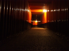 夜の千本鳥居
