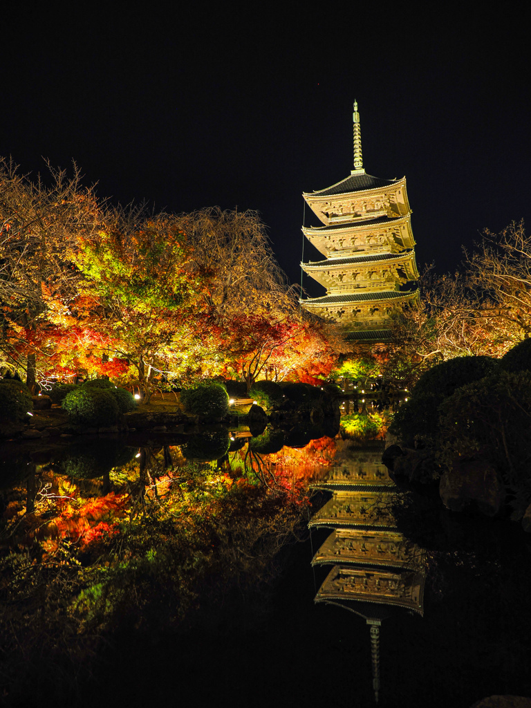 東寺ライトアップ