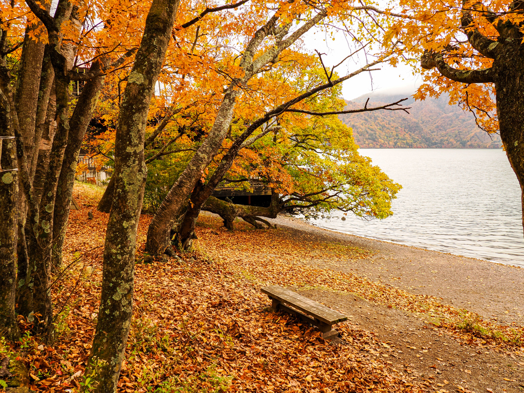 中禅寺湖