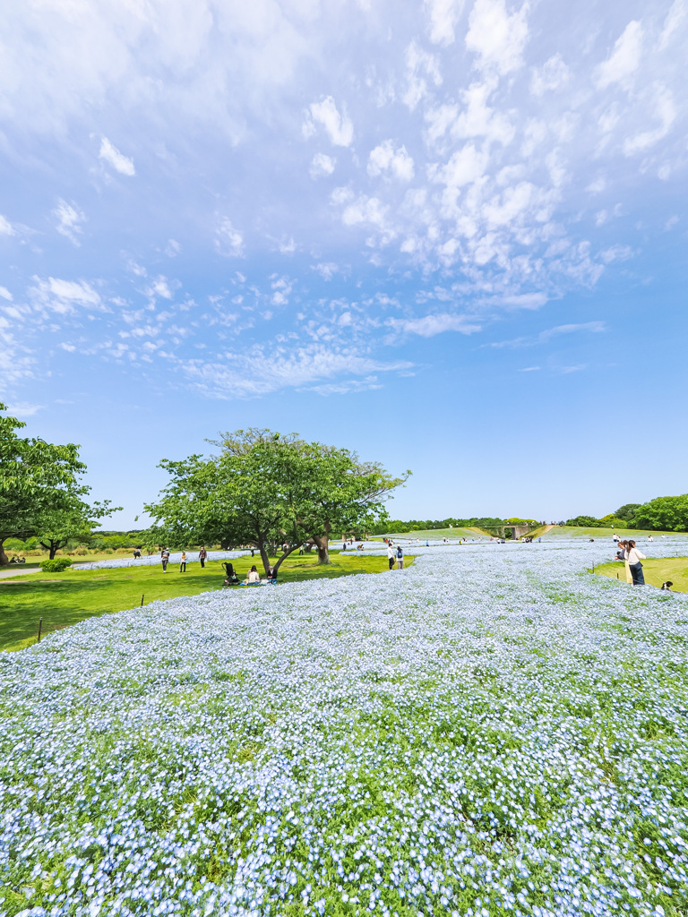海の中道海浜公園
