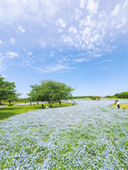 海の中道海浜公園