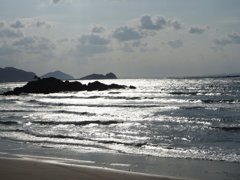 海