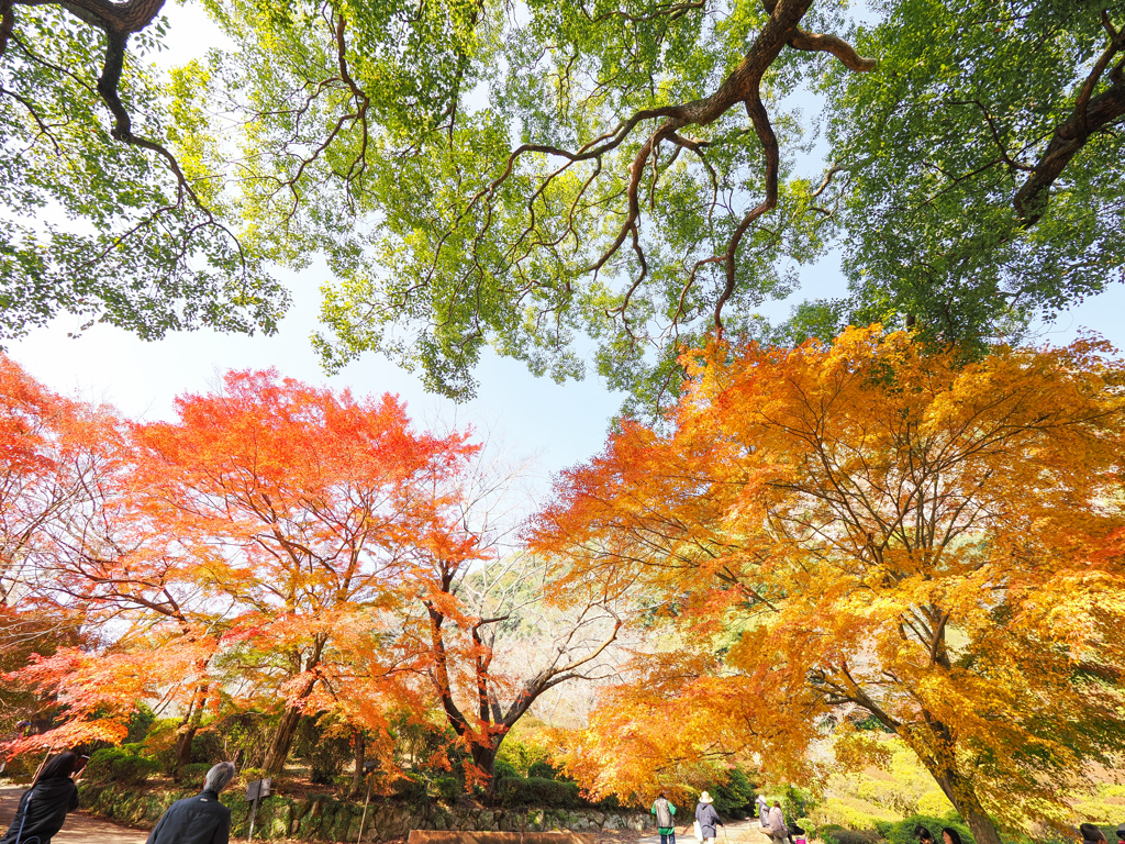 御船山楽園