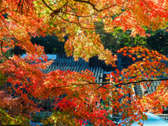 呑山観音寺