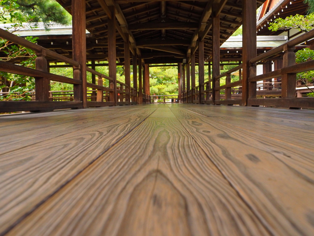 大覚寺