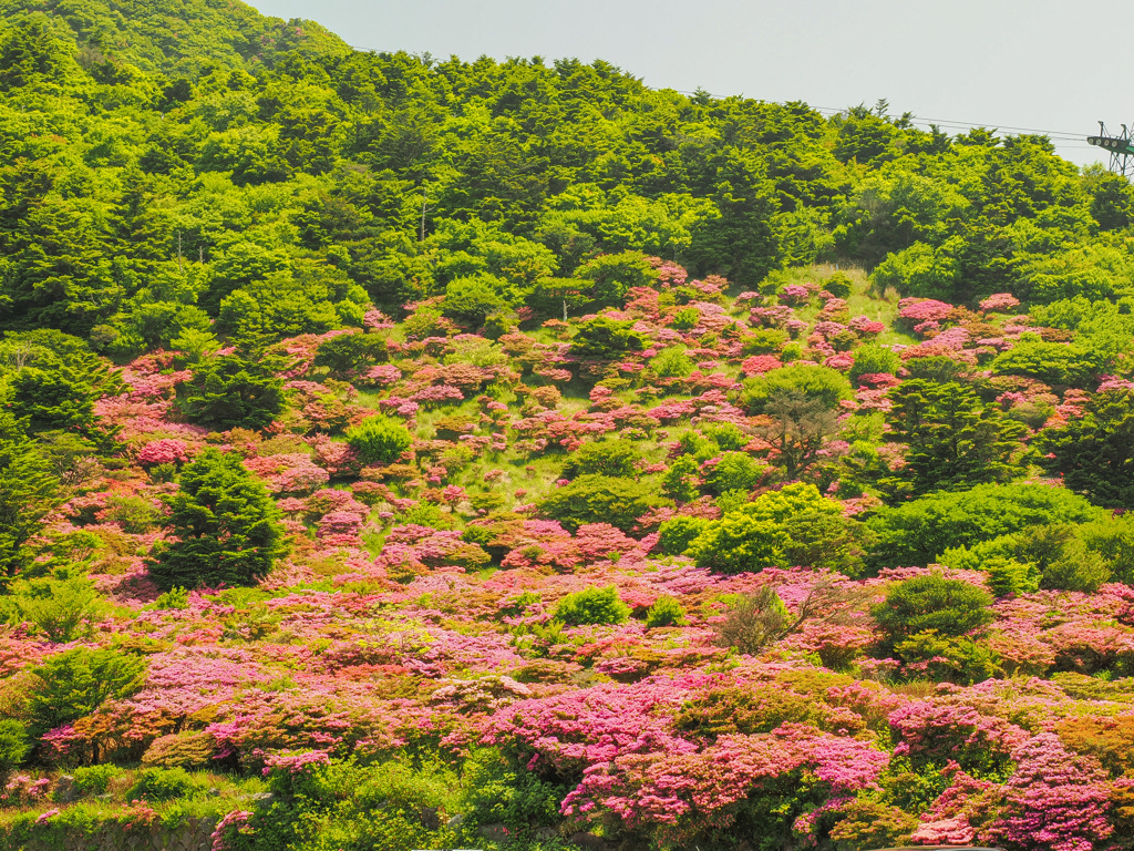 仁田峠