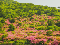 仁田峠