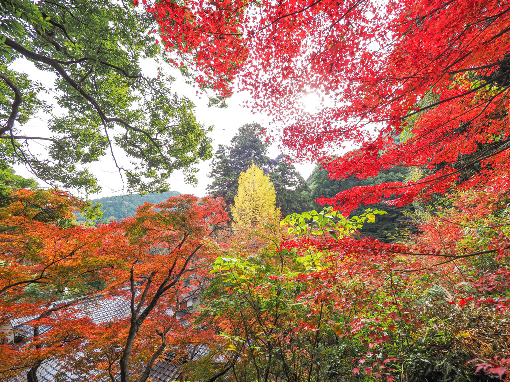 永勝寺