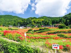 江里山棚田