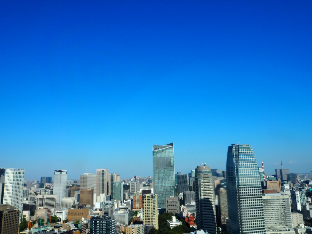 東京タワーからの眺め。