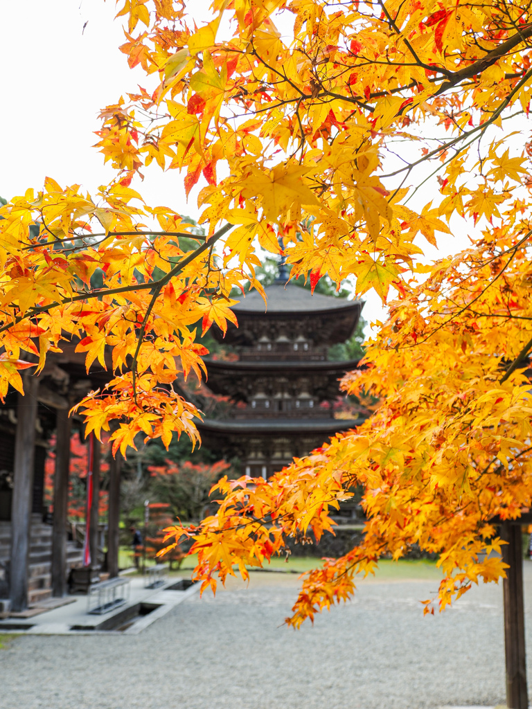 西明寺