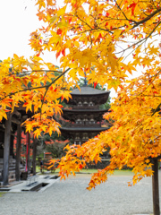 西明寺