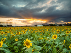 ひょうたん島公園