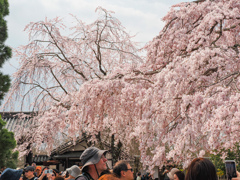 醍醐寺