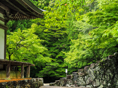 神護寺