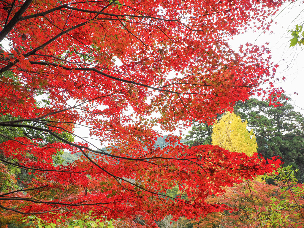 永勝寺