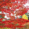 永勝寺