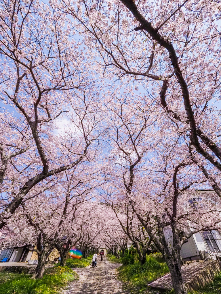 円応寺