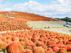 ひたちなか海浜公園