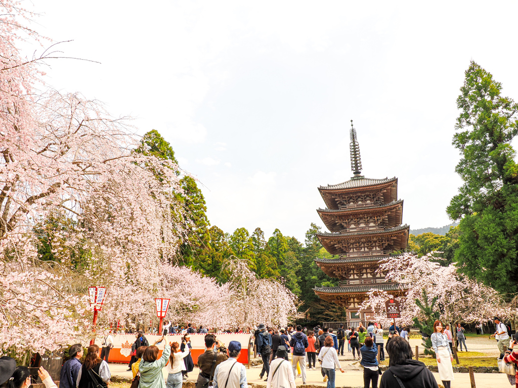 醍醐寺