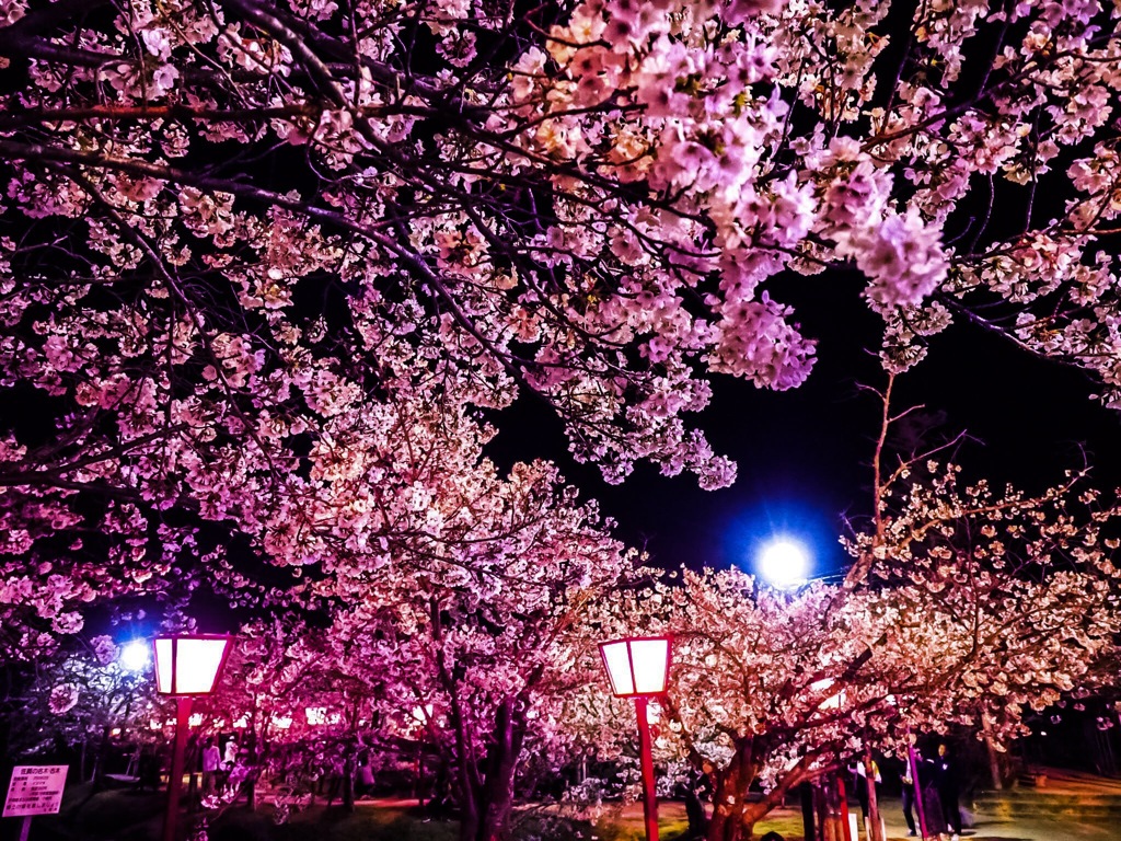 小城公園