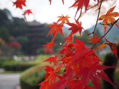瑠璃光寺