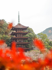 瑠璃光寺