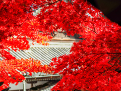 善峯寺